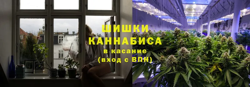 Бошки Шишки SATIVA & INDICA  Архангельск 